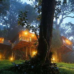 Nature Zone Jungle Munnar