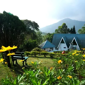 Camelot Resort