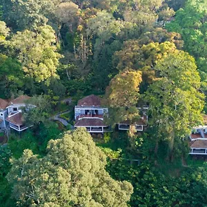 4* Resort The Tall Trees
